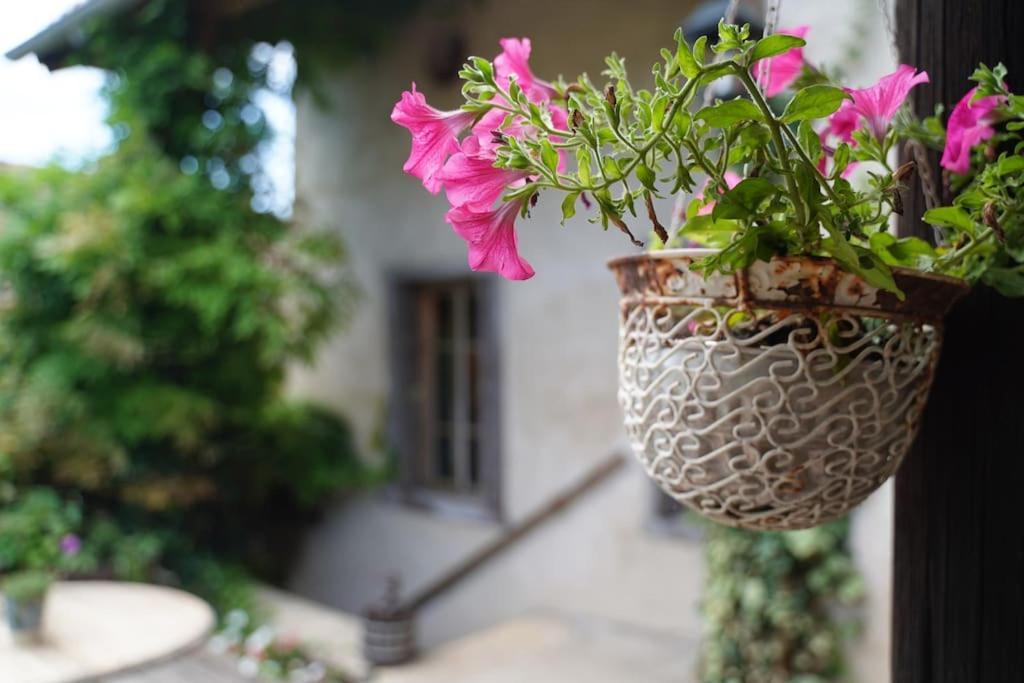 Maison Vigneron - Maison Et Studio Saint-Didier-sur-Beaujeu Εξωτερικό φωτογραφία